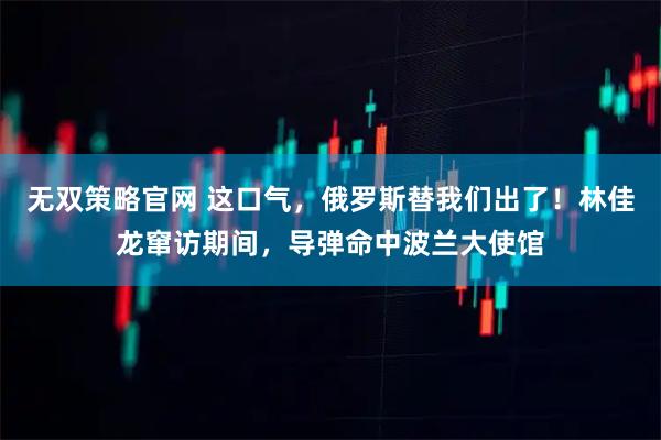 无双策略官网 这口气，俄罗斯替我们出了！林佳龙窜访期间，导弹命中波兰大使馆