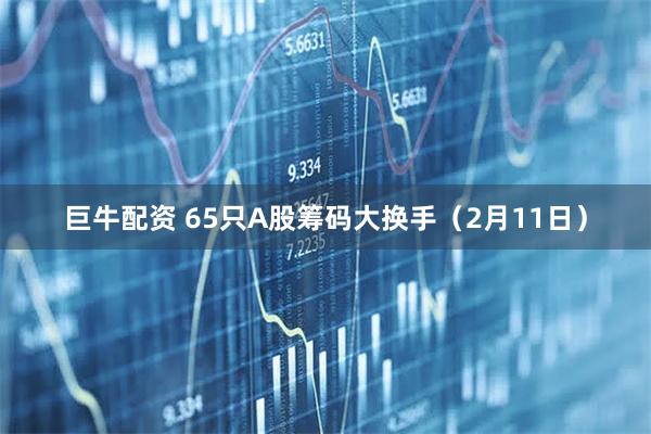 巨牛配资 65只A股筹码大换手（2月11日）